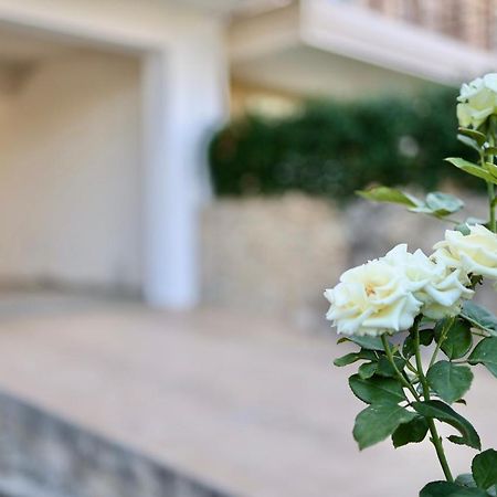 Μικρό Διαμέρισμα Της Αγγελικής Με Αυλή Και Parking Kalamata Ngoại thất bức ảnh